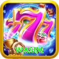 wasim Official v4.9.5