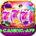 wasim Pro Gaming App